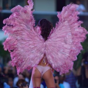 PINK WINGS